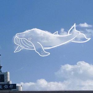 国产在线不卡视频免费视频
